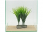 Preview: Savannah grass - 24cm